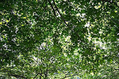 《地球防卫军6》中文版预购开启 3月14日发售